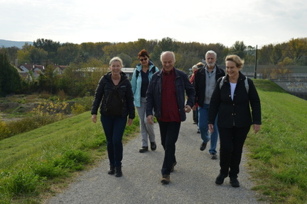 03  Chorwandertag 2018-Bisamberg